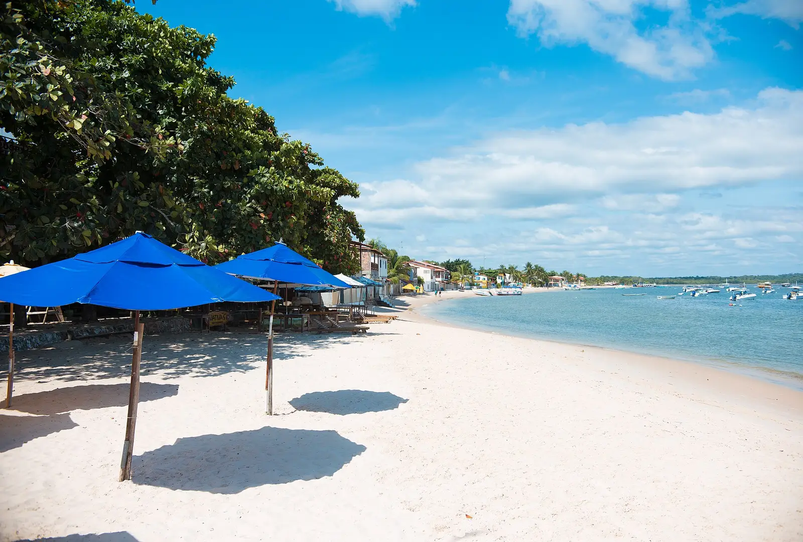 passeios gamboa tour