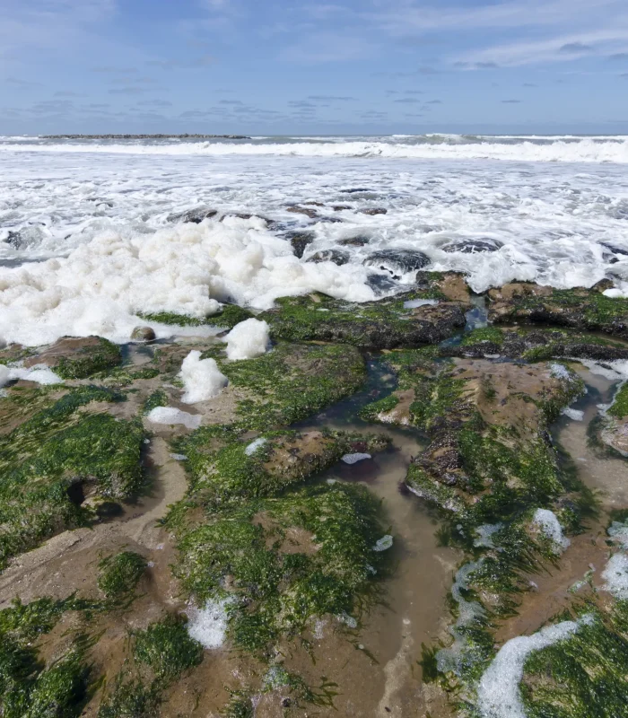 as mares de morro de sao paulo guia para aproveitar